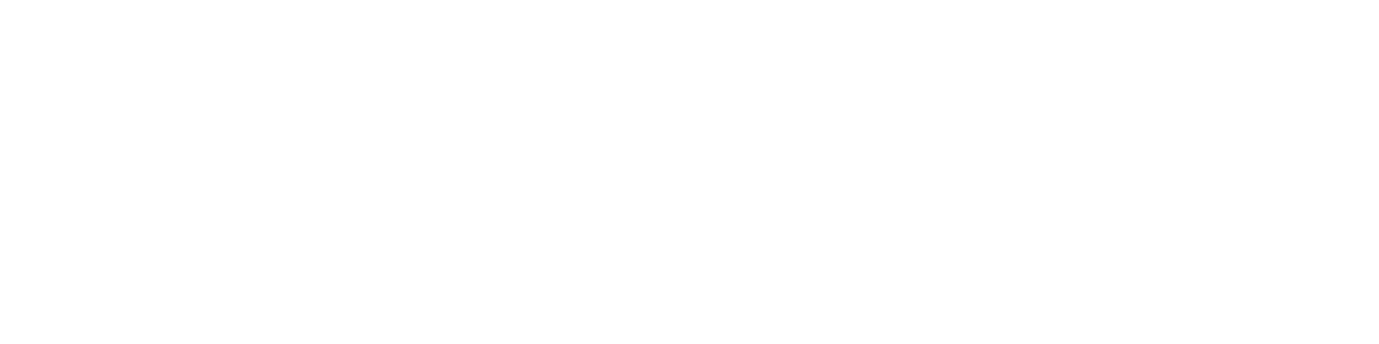HOLISTIK logo